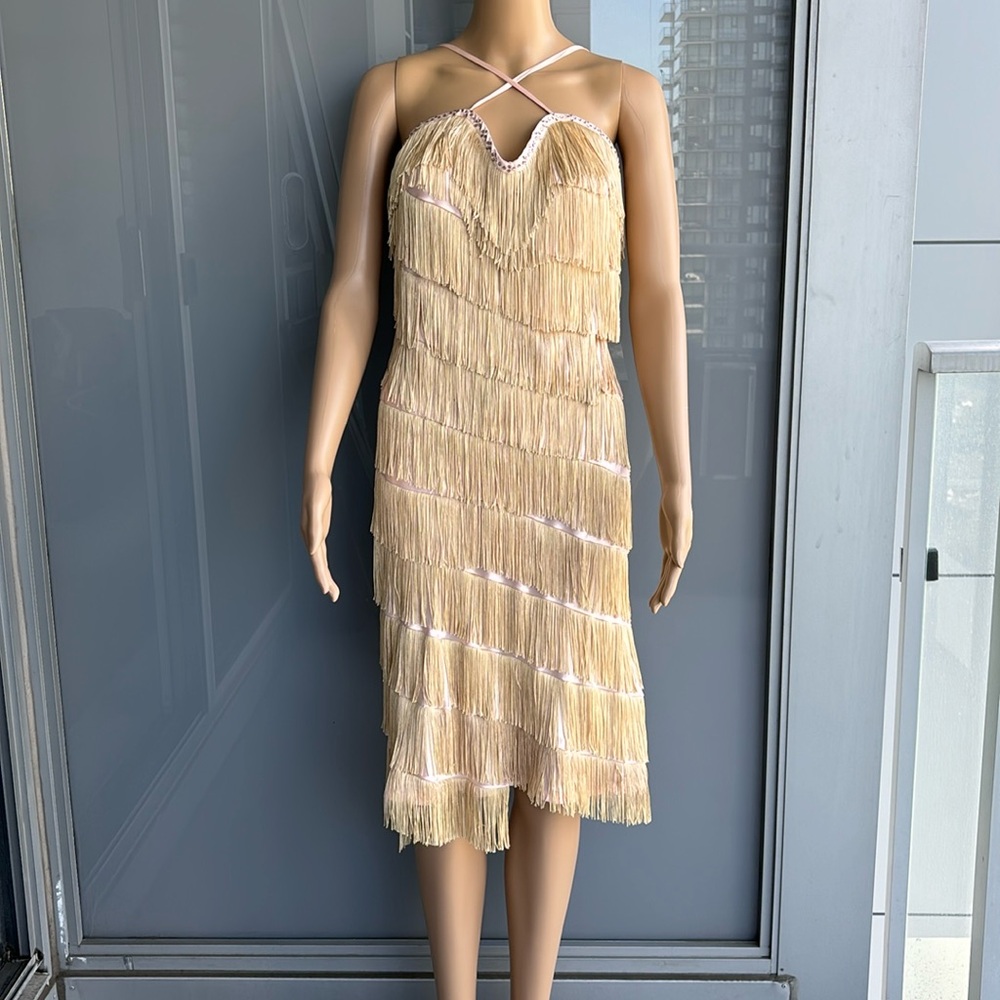 Vintage Fringe Flapper Girl Dress - Picture 2 of 15